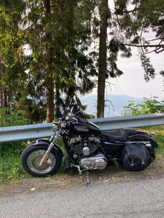 Harley-Davidson 1200 Custom (2007 - 13) - XL 1200C