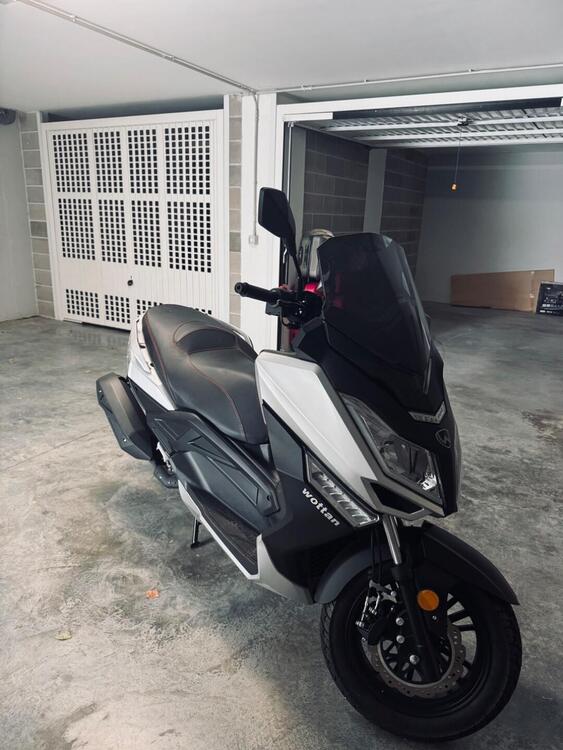 Wottan Motor Storm 125 (2022 - 24) (3)