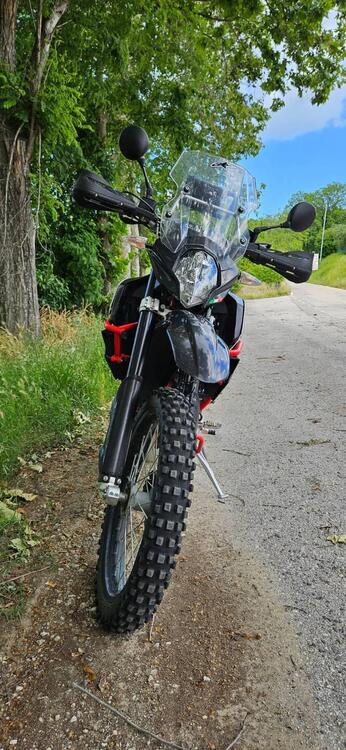 Swm Superdual 600 X (2018 - 20) (3)