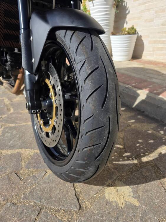 Triumph Speed Triple 1050 (2005 - 11) (5)