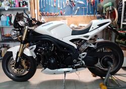 Triumph Speed Triple 1050 (2005 - 11) usata