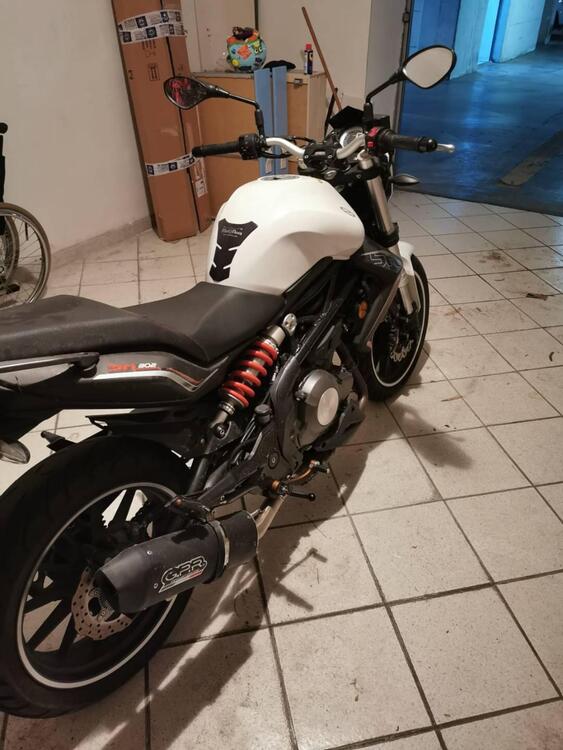 Benelli BN 302 (2017 - 19) (2)