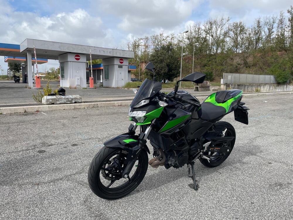 Kawasaki Z 400 Sport (2023) (4)
