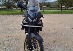 Honda Transalp XL750 (2025) usata