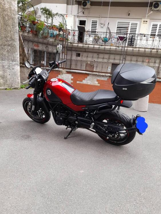 Benelli Leoncino 500 ABS (2017 - 20) (5)