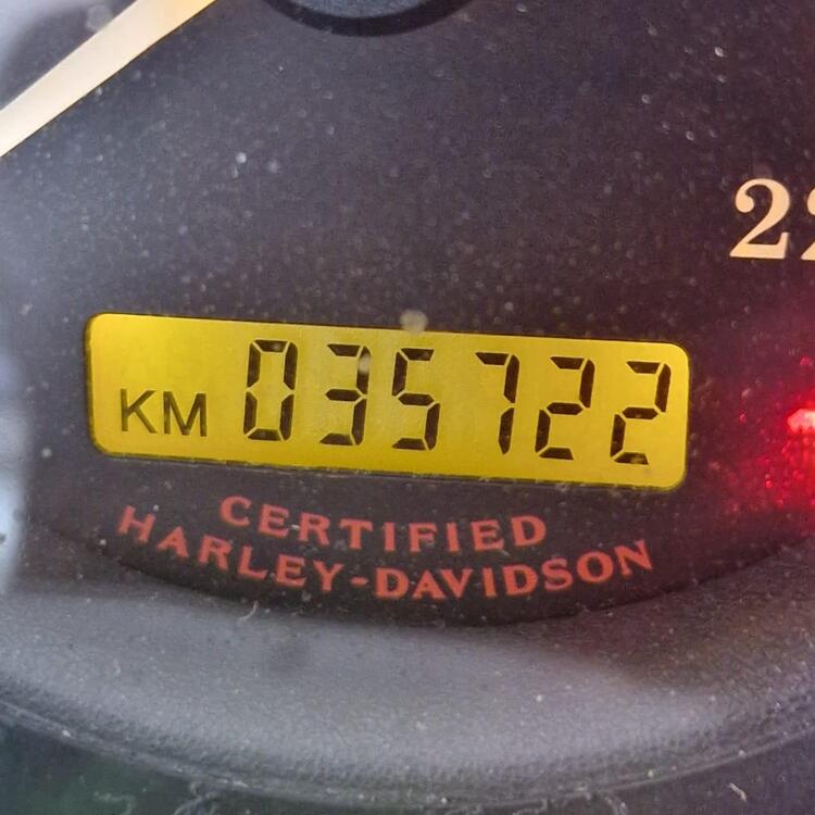 Harley-Davidson 883 (2006 - 07) - XL (2)