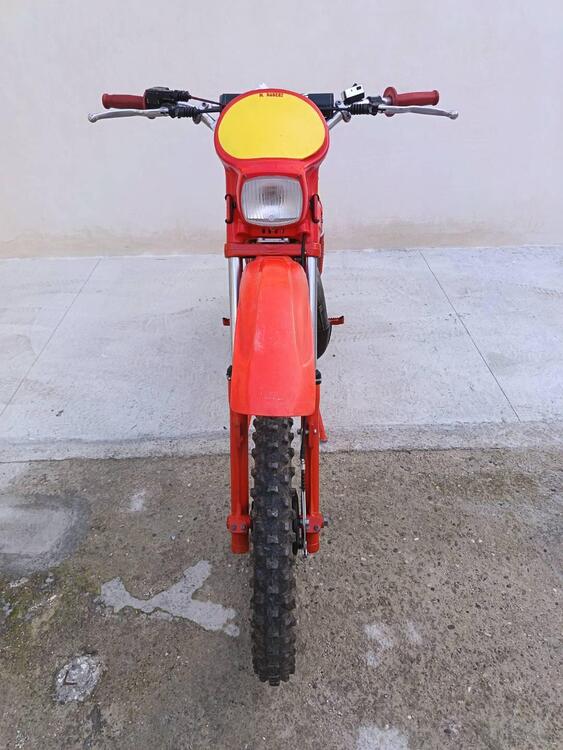 Aprilia Rc 125 1981 (2)
