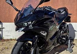 Kawasaki Ninja 500 (2024 - 26) usata