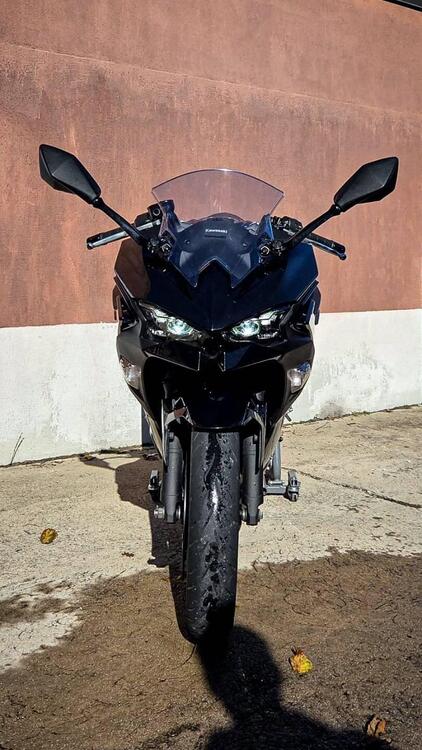 Kawasaki Ninja 500 (2024 - 26) (4)