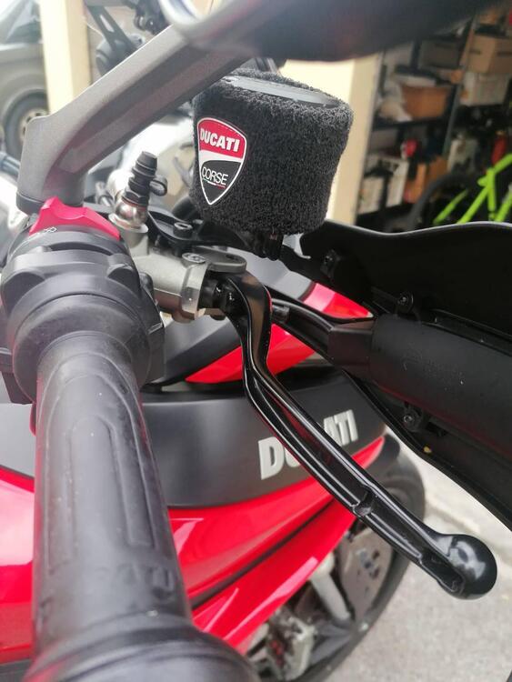 Ducati Multistrada 950 (2018) (3)