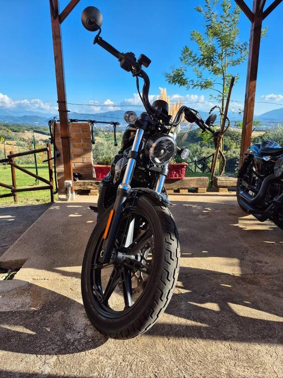 Harley-Davidson Nightster (2023 - 25)