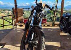 Harley-Davidson Nightster (2023 - 25) usata