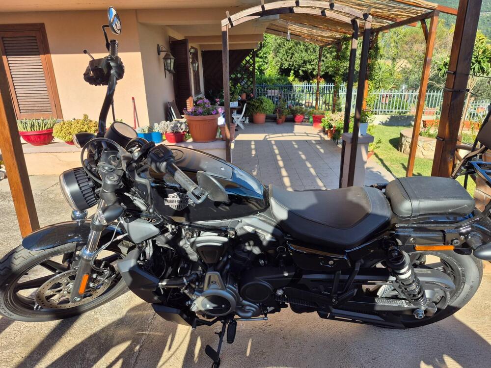 Harley-Davidson Nightster (2023 - 25) (2)