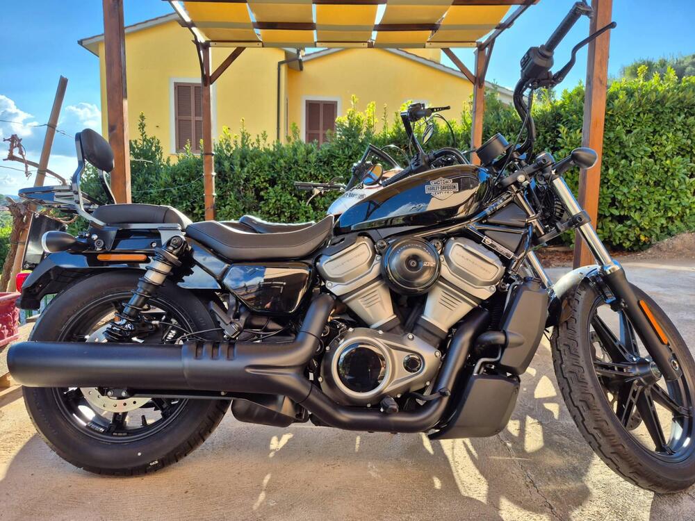 Harley-Davidson Nightster (2023 - 25) (3)