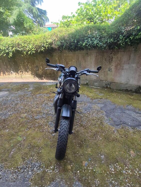 Triumph Thruxton 900 (2004 - 15)