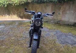 Triumph Thruxton 900 (2004 - 15) usata