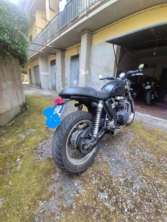 Triumph Thruxton 900 (2004 - 15) (4)