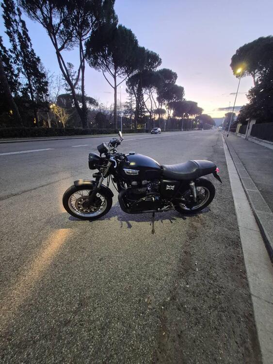 Triumph Thruxton 900 (2004 - 15) (5)