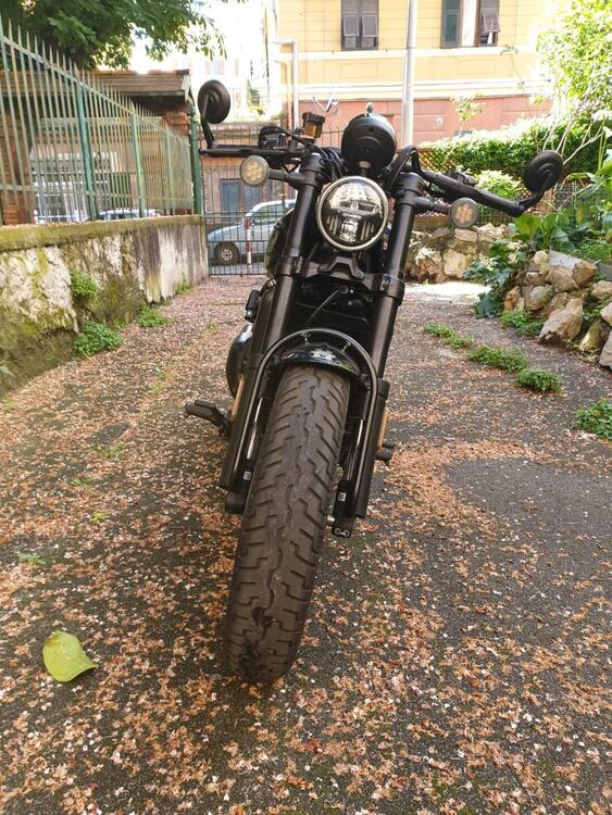 CFMOTO 450CL-C (2024 - 25) (5)