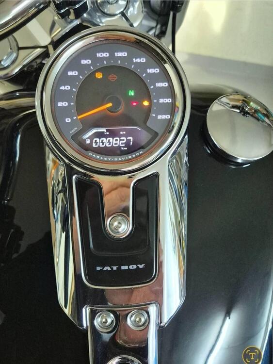 Harley-Davidson Fat Boy 114 (2021 - 24) (3)