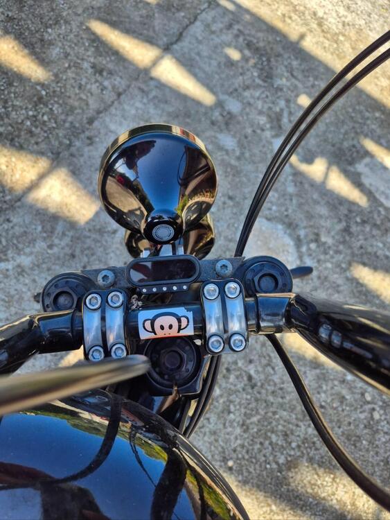 Harley-Davidson XL 1200N Nightster (2008 - 12) (4)