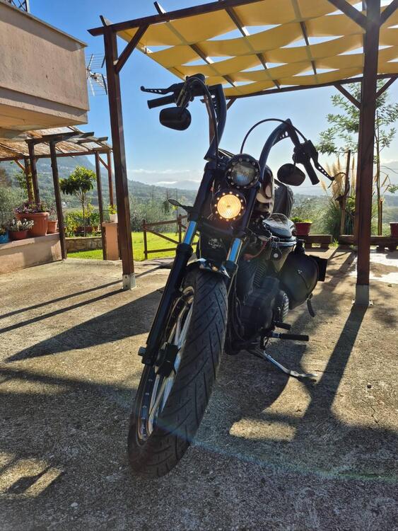 Harley-Davidson XL 1200N Nightster (2008 - 12) (3)