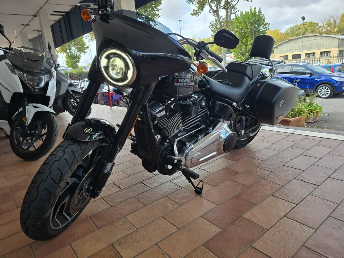Harley-Davidson 107 Sport Glide (2018 - 20) (7)