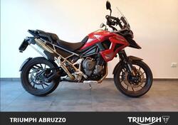 Triumph Tiger 1200 GT Pro (2024 - 25) usata