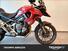 Triumph Tiger 1200 GT Pro (2024 - 25) (6)