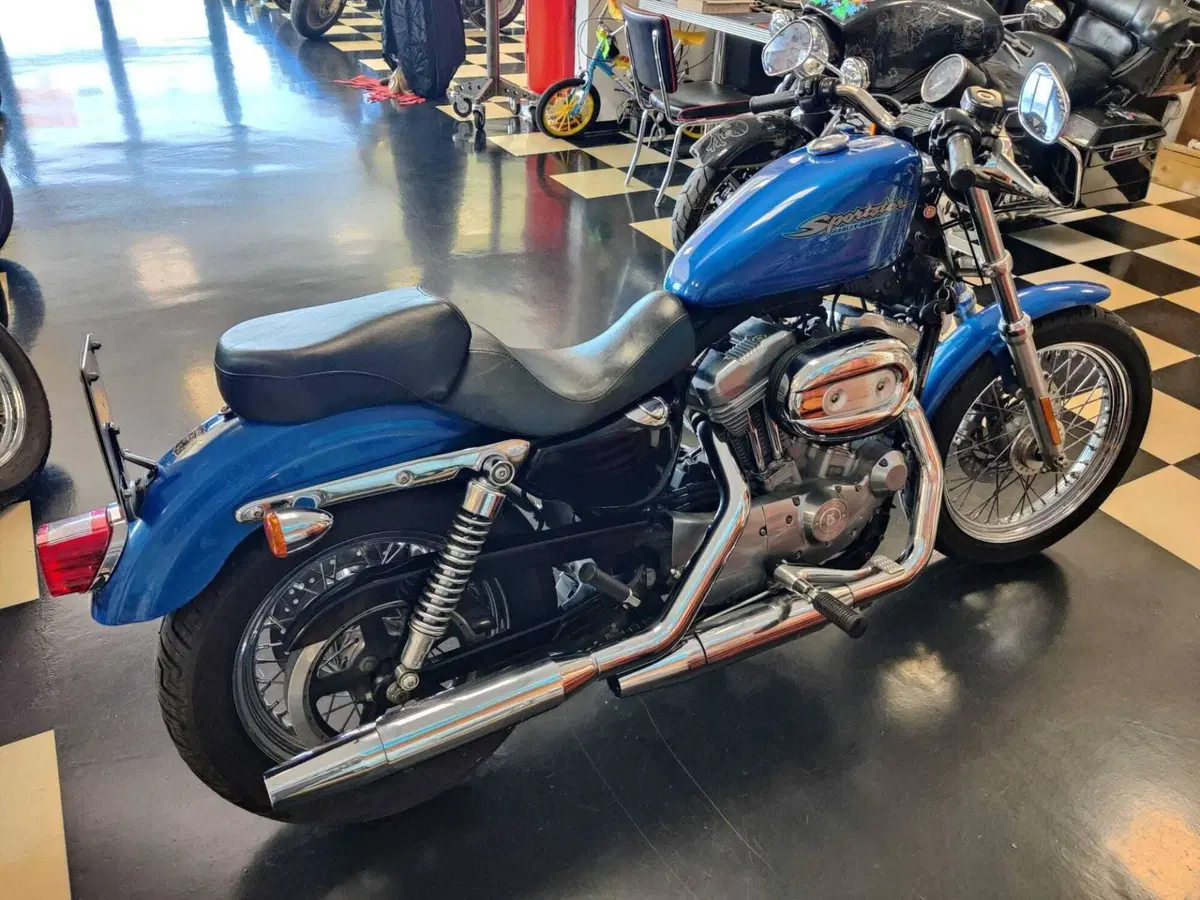 Harley-Davidson 883 (2006 - 07) - XL (6)
