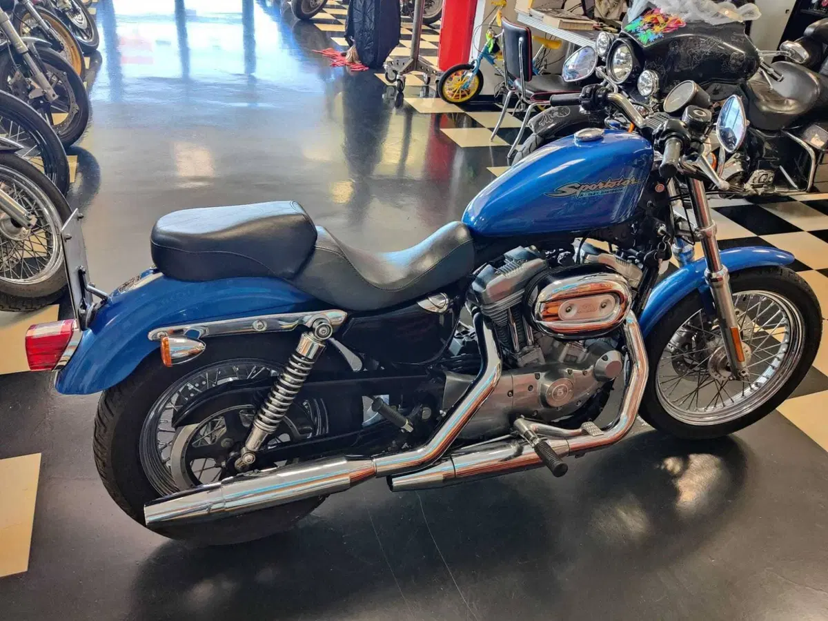 Harley-Davidson 883 (2006 - 07) - XL (7)