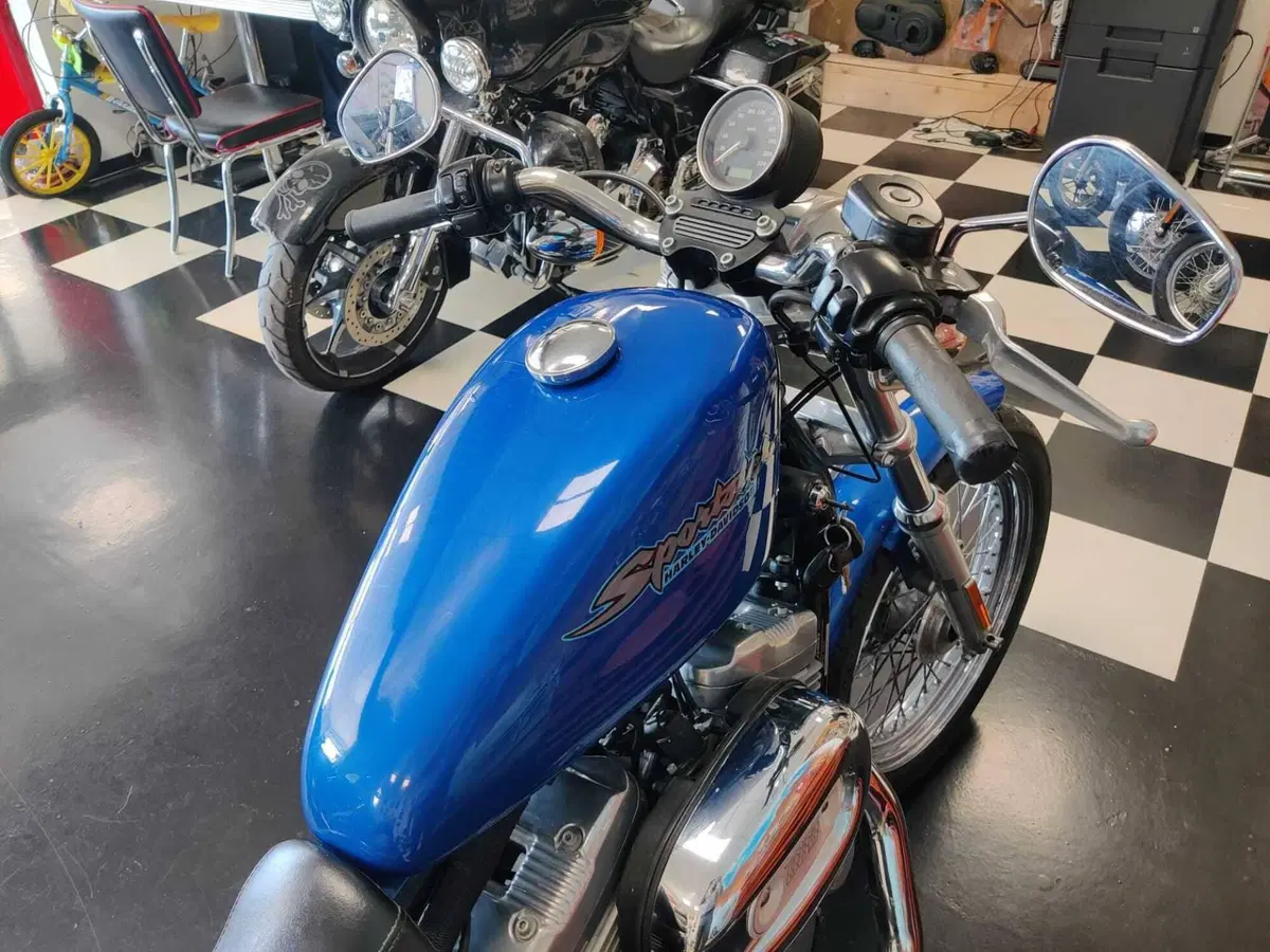 Harley-Davidson 883 (2006 - 07) - XL (8)