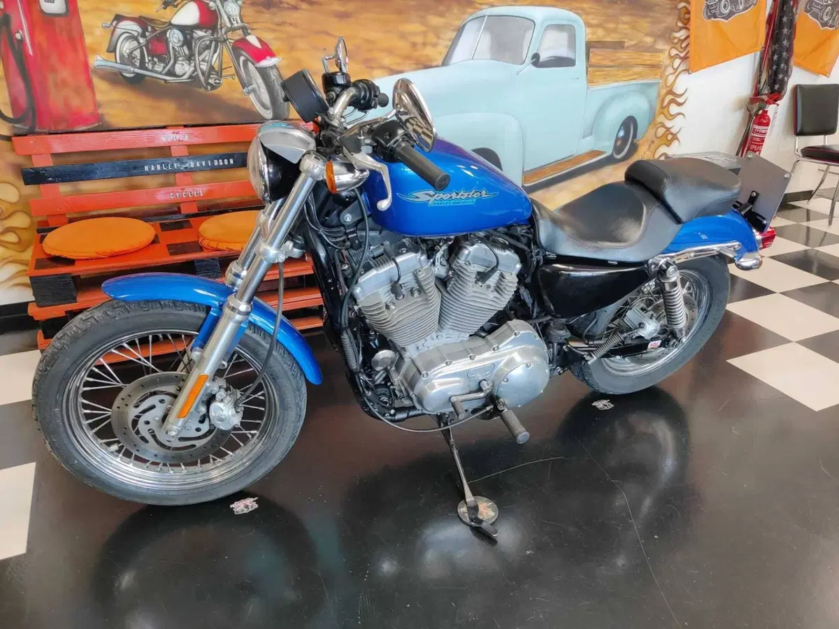 Harley-Davidson 883 (2006 - 07) - XL (13)