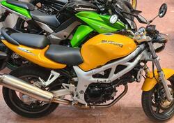 Suzuki SV 650 (1999 - 02) usata