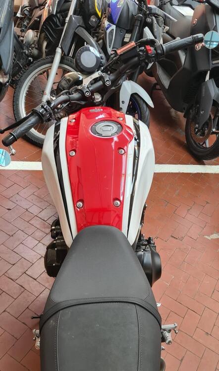 Yamaha XSR 900 (2022 - 25) (3)