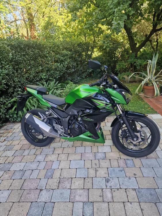 Kawasaki Z 300 ABS (2015 - 16)