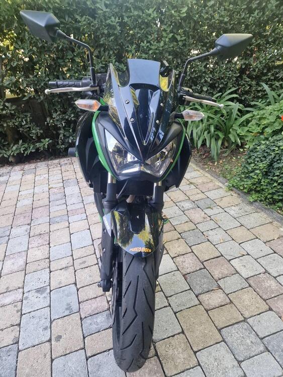 Kawasaki Z 300 ABS (2015 - 16) (2)