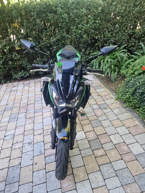 Kawasaki Z 300 ABS (2015 - 16) (5)