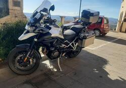 Triumph Tiger 1200 GT Pro (2022 - 23) usata
