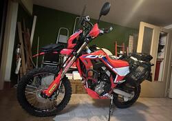 Honda CRF 300 L (2021 - 24) usata