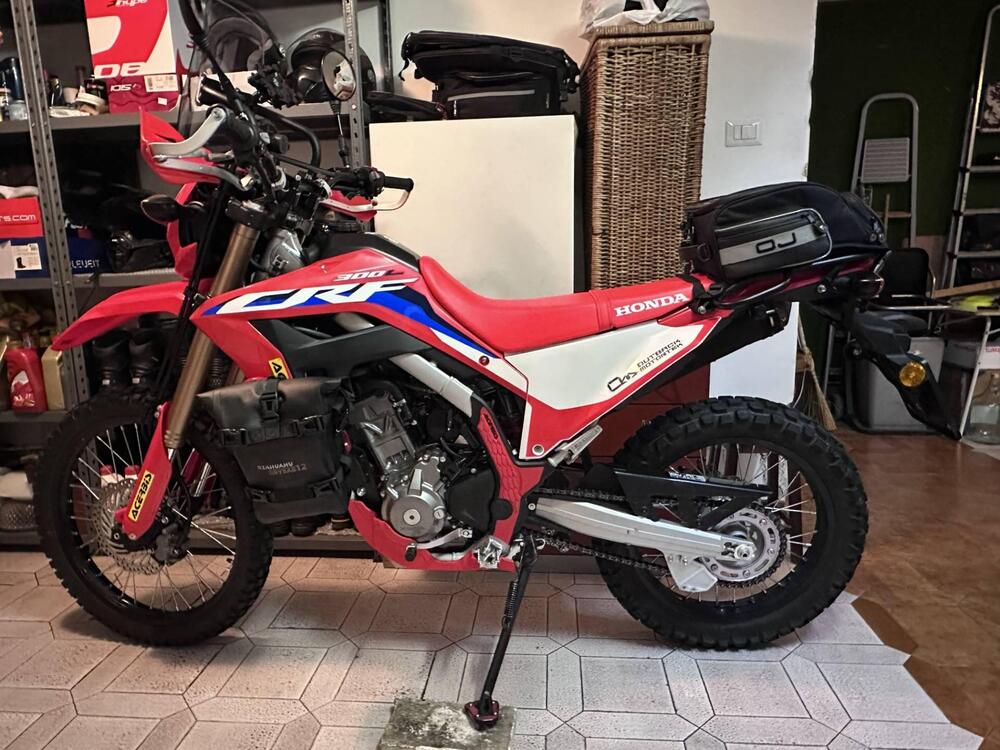 Honda CRF 300 L (2021 - 24) (3)