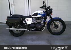 Triumph Bonneville T100 (2008 - 16) usata