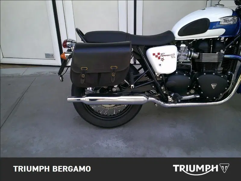 Triumph Bonneville T100 (2008 - 16) (6)