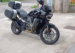 Harley-Davidson Pan America 1250 (2020 - 25) usata