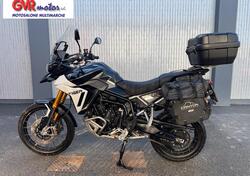 Triumph Tiger 900 Rally Pro (2024 - 25) usata