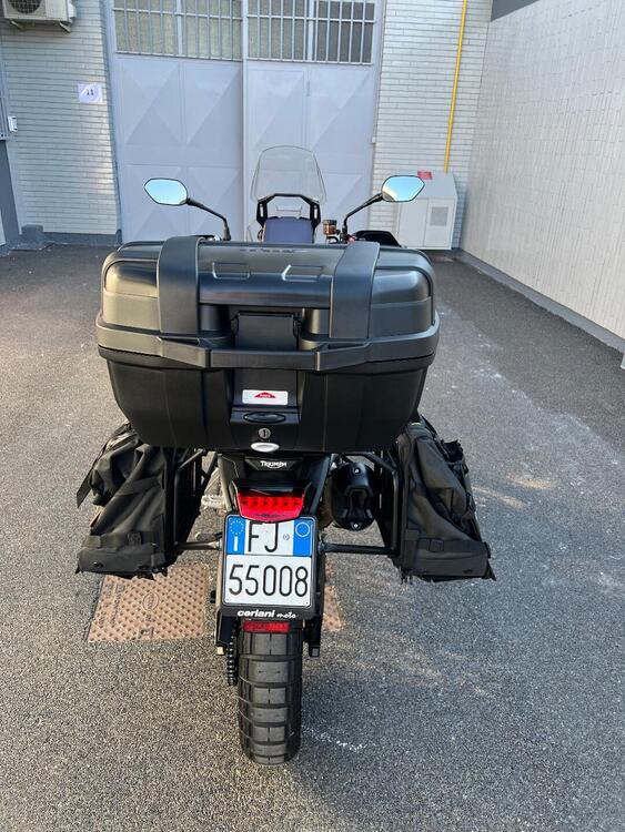 Triumph Tiger 900 Rally Pro (2024 - 25) (4)