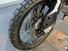 Triumph Tiger 900 Rally Pro (2024 - 25) (16)
