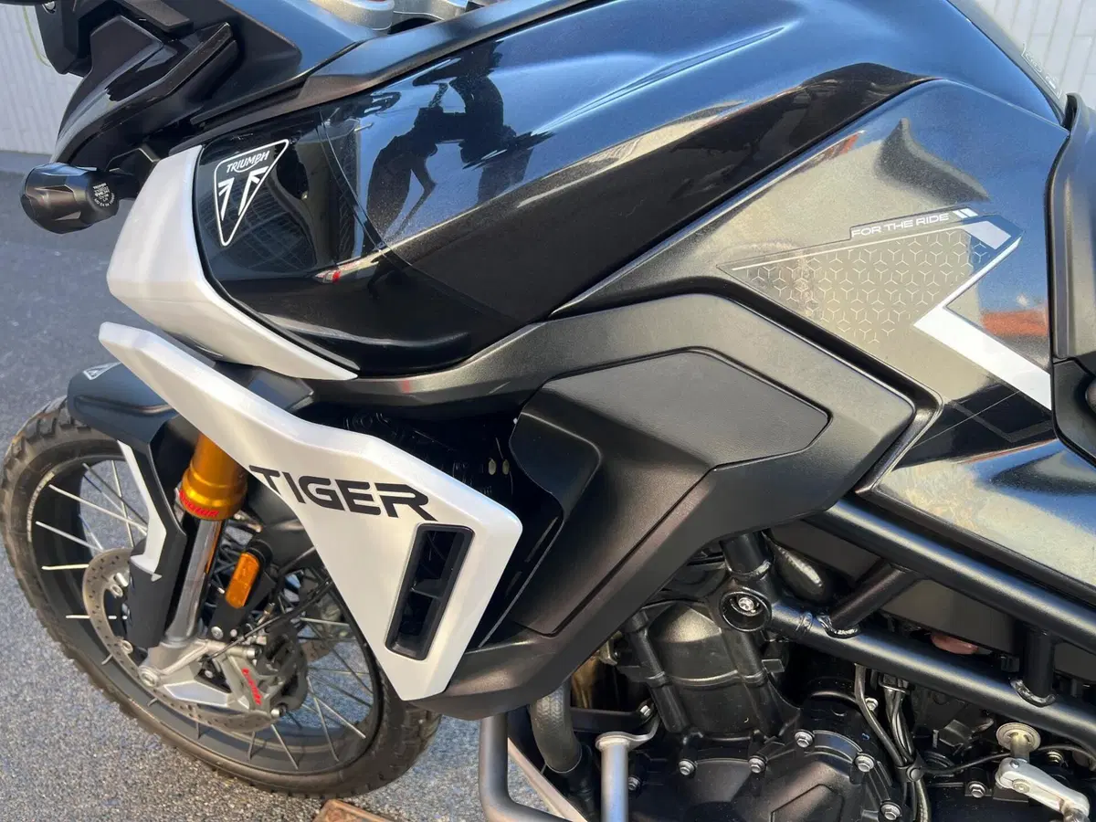 Triumph Tiger 900 Rally Pro (2024 - 26) (7)