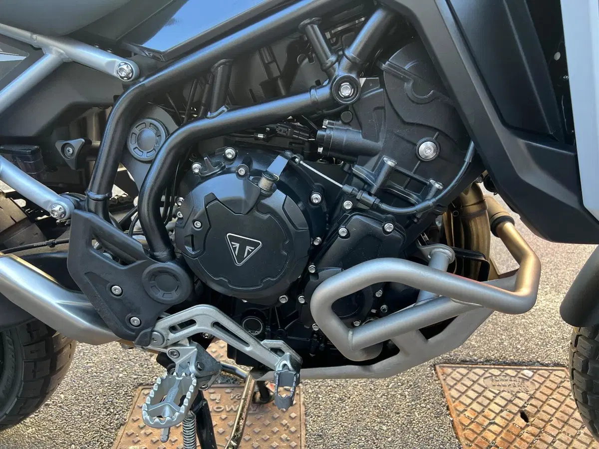 Triumph Tiger 900 Rally Pro (2024 - 26) (18)