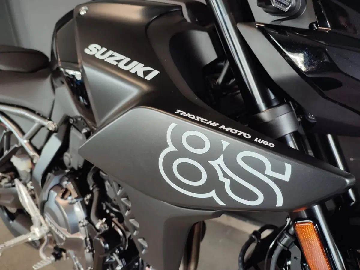 Suzuki GSX-8S (2025 - 26) (5)